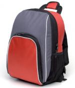 Thermo Cooler Backpack,Wine Gifts